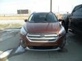2018 Cinnamon Glaze Ford Escape SE  photo #2