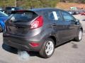 Magnetic - Fiesta SE Hatchback Photo No. 5