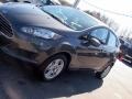Magnetic - Fiesta SE Hatchback Photo No. 30