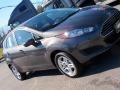 Magnetic - Fiesta SE Hatchback Photo No. 31