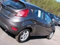 Magnetic - Fiesta SE Hatchback Photo No. 32