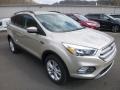 2018 White Gold Ford Escape SE 4WD  photo #3