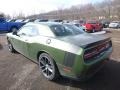 F8 Green - Challenger 392 HEMI Scat Pack Shaker Photo No. 3