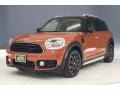 Chestnut - Countryman Cooper ALL4 Photo No. 13
