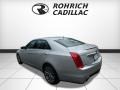 Radiant Silver Metallic - CTS Luxury AWD Photo No. 3