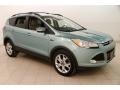 Frosted Glass Metallic 2013 Ford Escape SEL 2.0L EcoBoost