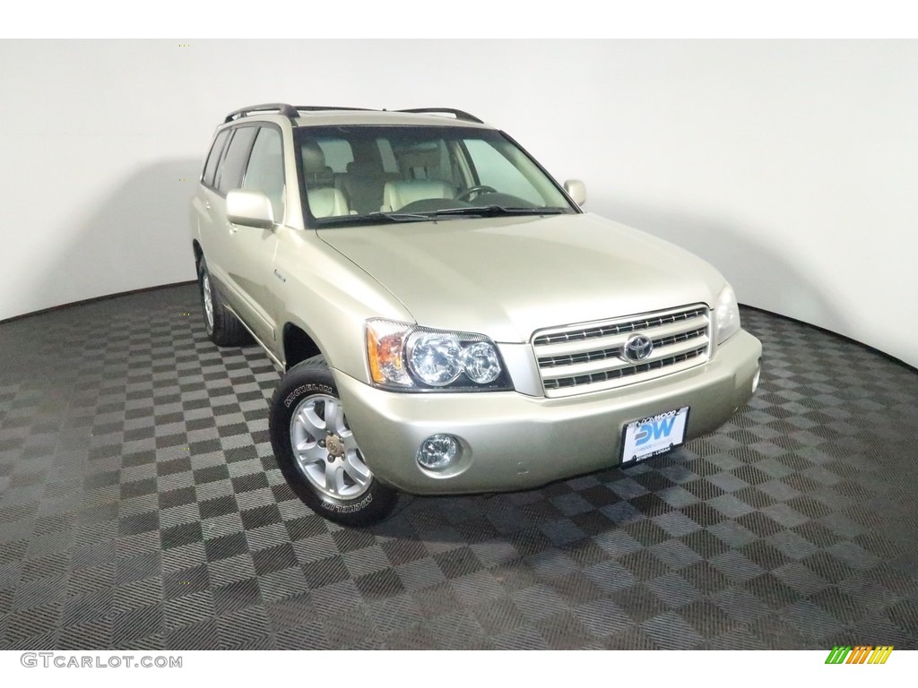 2002 Highlander Limited 4WD - Vintage Gold Metallic / Ivory photo #6