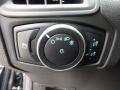 Magnetic - Focus SE Hatch Photo No. 16