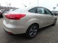 White Gold - Focus SE Sedan Photo No. 3