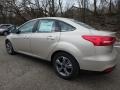White Gold - Focus SE Sedan Photo No. 5