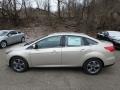 White Gold - Focus SE Sedan Photo No. 6