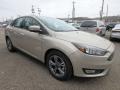 White Gold - Focus SE Sedan Photo No. 9