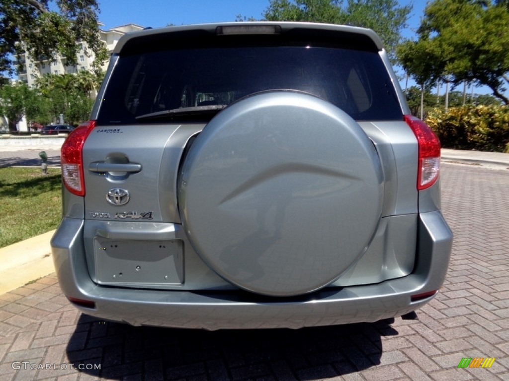 2006 RAV4  - Everglade Metallic / Taupe photo #5