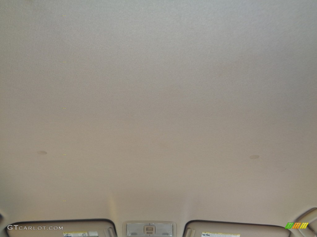 2006 RAV4  - Everglade Metallic / Taupe photo #29