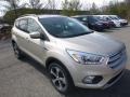 2018 White Gold Ford Escape SEL 4WD  photo #3