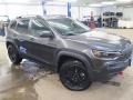  2019 Cherokee Trailhawk 4x4 Granite Crystal Metallic