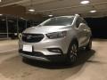 Quicksilver Metallic - Encore Preferred II Photo No. 2