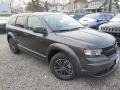 2018 Bruiser Grey Dodge Journey SE  photo #3