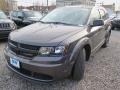 2018 Bruiser Grey Dodge Journey SE  photo #6