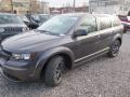 2018 Bruiser Grey Dodge Journey SE  photo #8