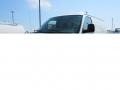 Summit White 2014 Chevrolet Express 1500 Cargo WT