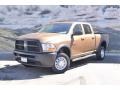 Saddle Brown Pearl - Ram 2500 HD ST Crew Cab 4x4 Photo No. 5