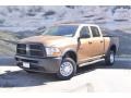 2012 Saddle Brown Pearl Dodge Ram 2500 HD ST Crew Cab 4x4  photo #5