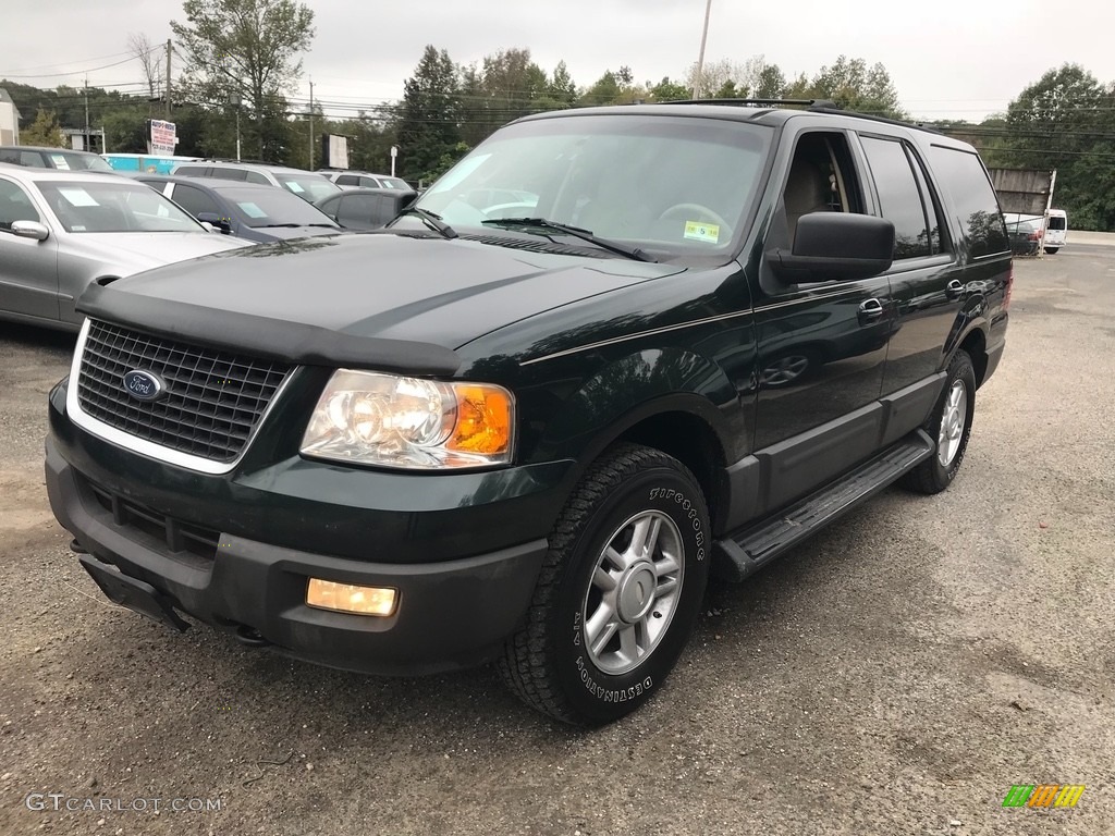 2004 Expedition XLT 4x4 - Aspen Green Metallic / Medium Parchment photo #1