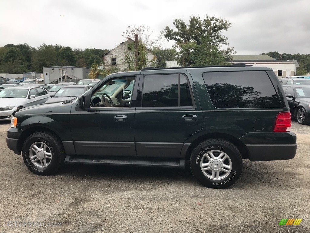 2004 Expedition XLT 4x4 - Aspen Green Metallic / Medium Parchment photo #2