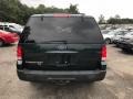 2004 Aspen Green Metallic Ford Expedition XLT 4x4  photo #4