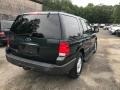 2004 Aspen Green Metallic Ford Expedition XLT 4x4  photo #5