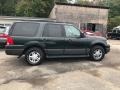 2004 Aspen Green Metallic Ford Expedition XLT 4x4  photo #6