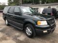 2004 Aspen Green Metallic Ford Expedition XLT 4x4  photo #7