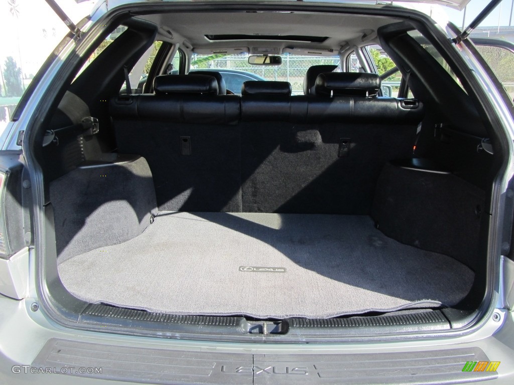 2003 RX 300 - Millenium Silver Metallic / Black photo #19