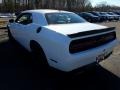 White Knuckle - Challenger SXT Photo No. 4