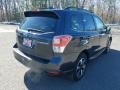 Dark Gray Metallic - Forester 2.5i Limited Photo No. 7