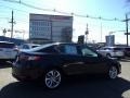 Crystal Black Pearl - ILX Premium Photo No. 3