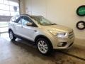 2018 White Gold Ford Escape SEL 4WD  photo #1