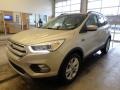 2018 White Gold Ford Escape SEL 4WD  photo #4