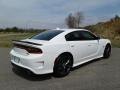 White Knuckle - Charger R/T Scat Pack Photo No. 6