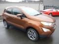 2018 Canyon Ridge Ford EcoSport Titanium 4WD  photo #3