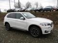 Alpine White - X5 xDrive35i Photo No. 1