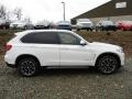 Alpine White - X5 xDrive35i Photo No. 2