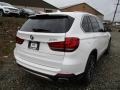 Alpine White - X5 xDrive35i Photo No. 3