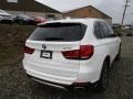 Alpine White - X5 xDrive35i Photo No. 3