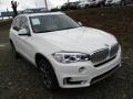 Alpine White - X5 xDrive35i Photo No. 9