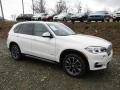 Alpine White - X5 xDrive35i Photo No. 1