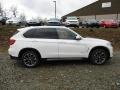 Alpine White - X5 xDrive35i Photo No. 2