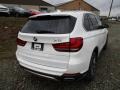 Alpine White - X5 xDrive35i Photo No. 3