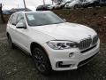 Alpine White - X5 xDrive35i Photo No. 9